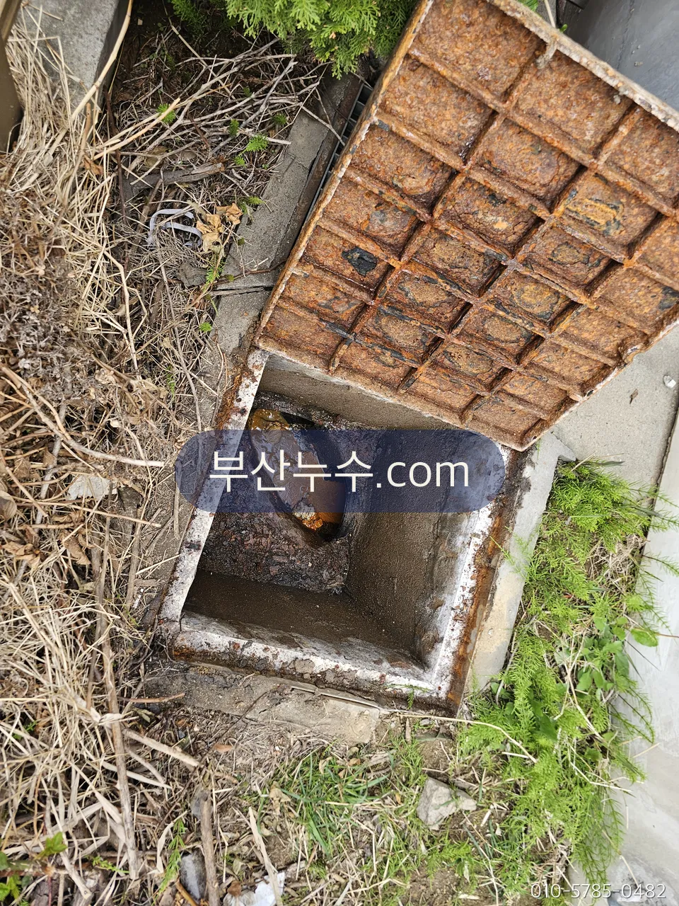 계량기함을 열어 계량기 상태를 확인하는 모습