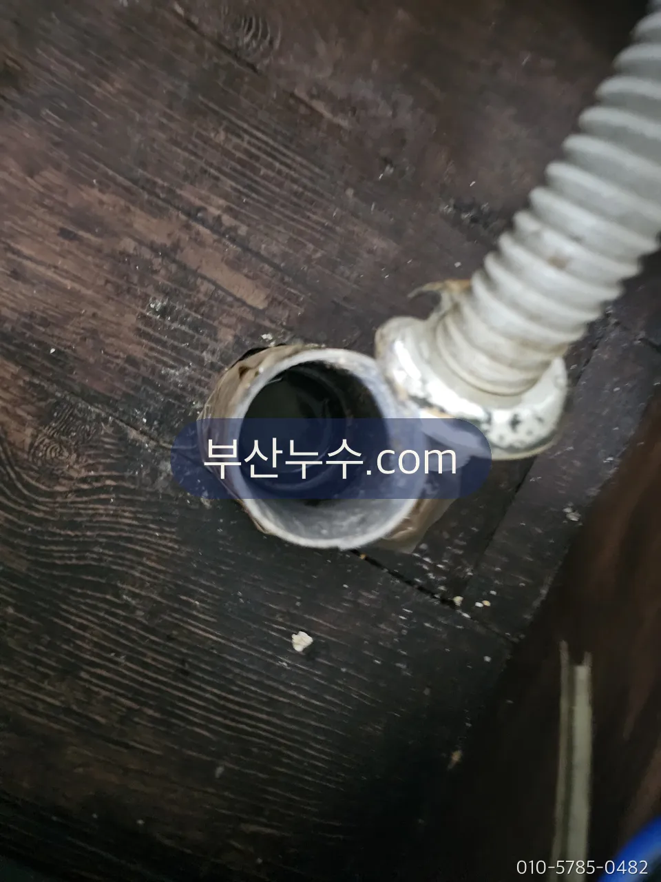 호스 연결부 상태 점검