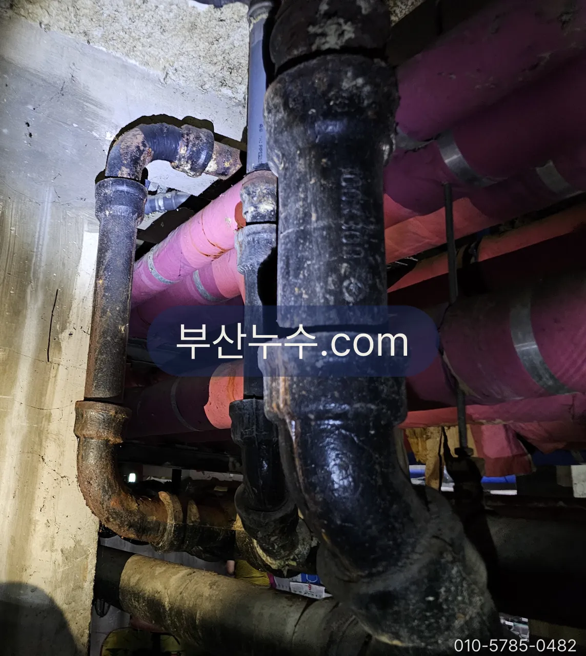 천장 속 배관을 손전등으로 비춰 물자국 방향을 보는 장면